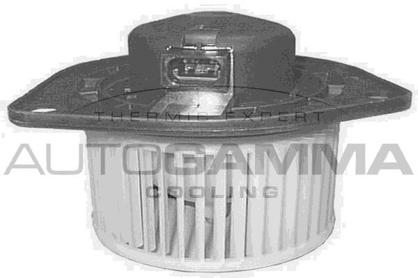 Vidaus pūtiklis AUTOGAMMA GA20205
