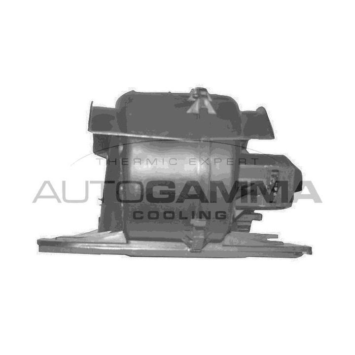 Vidaus pūtiklis AUTOGAMMA GA20328
