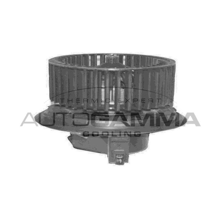 Vidaus pūtiklis AUTOGAMMA GA20336