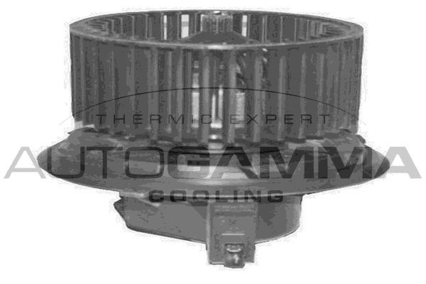 Vidaus pūtiklis AUTOGAMMA GA20336