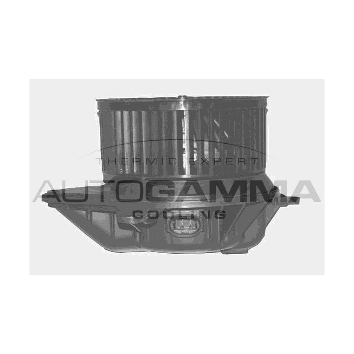 Vidaus pūtiklis AUTOGAMMA GA20338