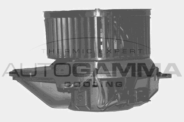 Vidaus pūtiklis AUTOGAMMA GA20339