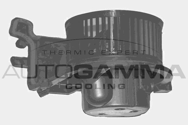 Vidaus pūtiklis AUTOGAMMA GA20342