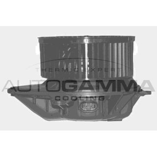 Vidaus pūtiklis AUTOGAMMA GA20343