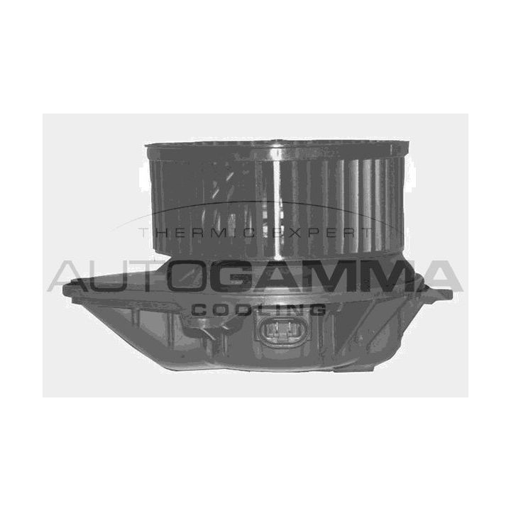 Vidaus pūtiklis AUTOGAMMA GA20343