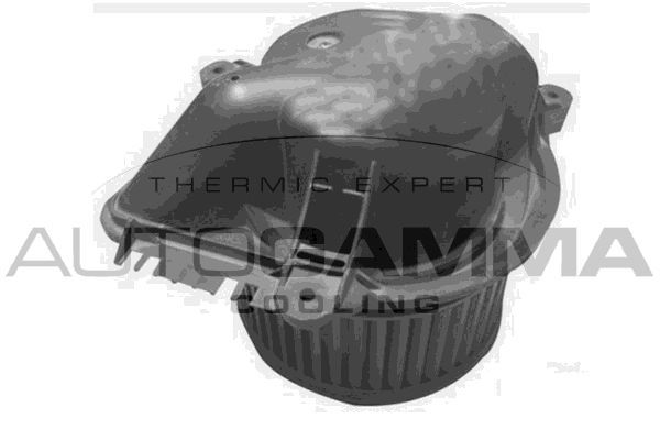 Vidaus pūtiklis AUTOGAMMA GA20349