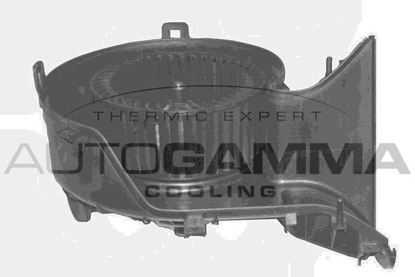 Vidaus pūtiklis AUTOGAMMA GA20363