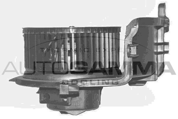 Vidaus pūtiklis AUTOGAMMA GA20373
