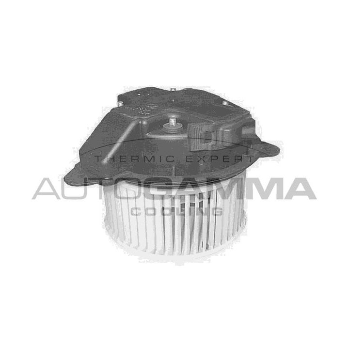 Vidaus pūtiklis AUTOGAMMA GA20409