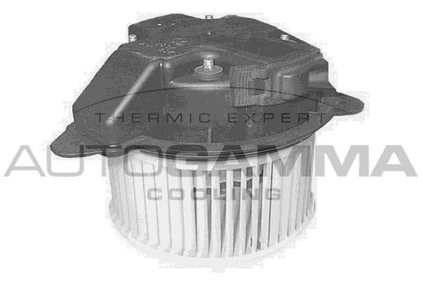 Vidaus pūtiklis AUTOGAMMA GA20409