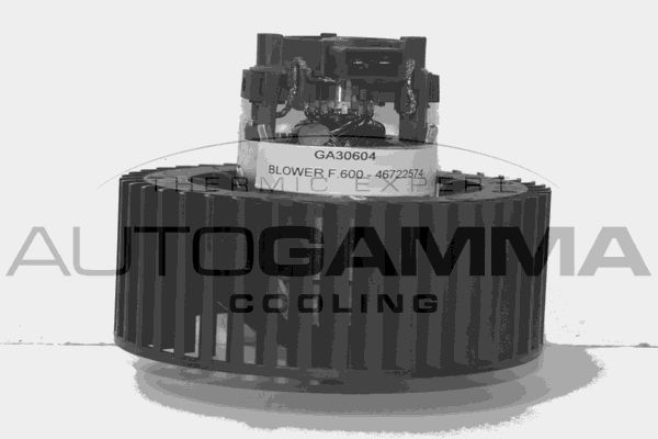 Vidaus pūtiklis AUTOGAMMA GA30604