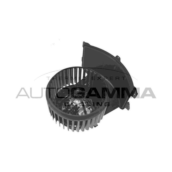 Vidaus pūtiklis AUTOGAMMA GA31007