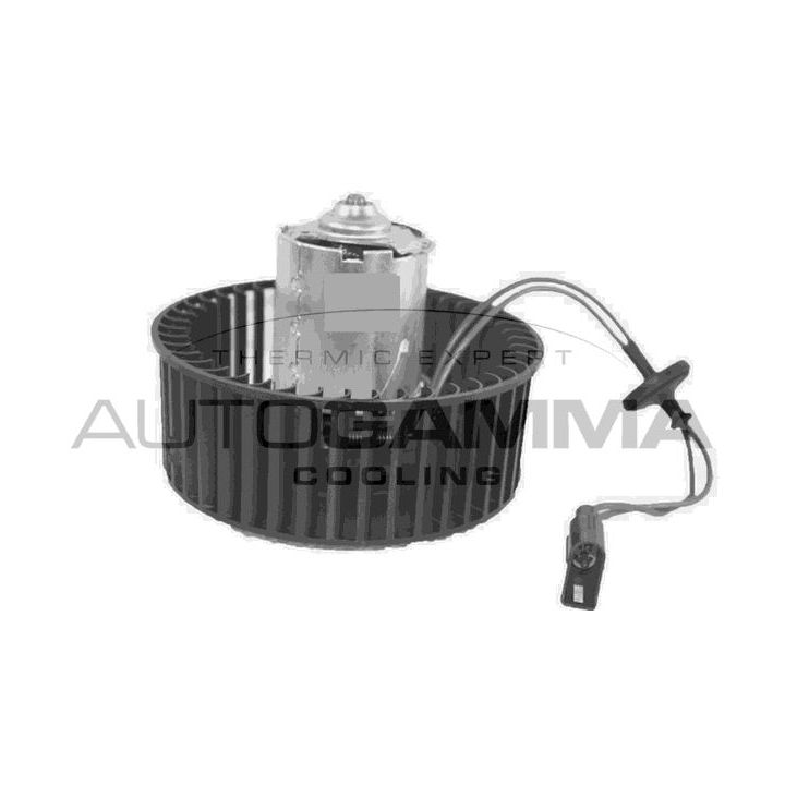 Vidaus pūtiklis AUTOGAMMA GA34004