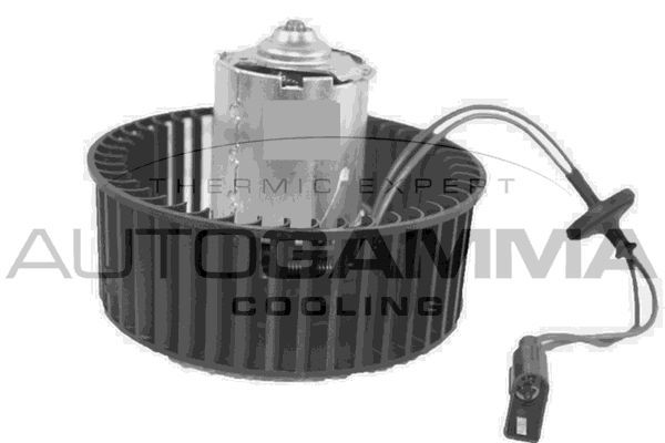 Vidaus pūtiklis AUTOGAMMA GA34004