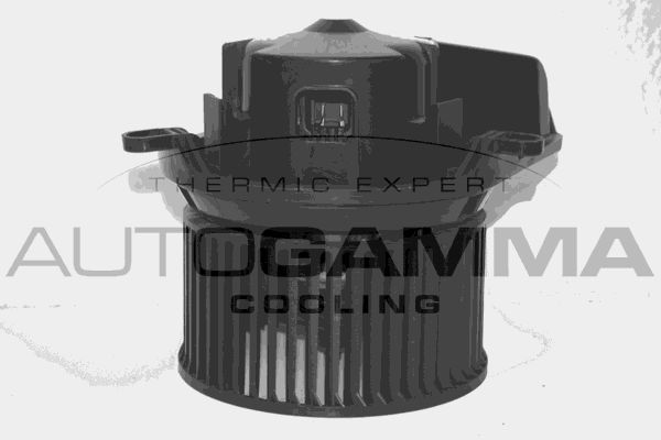 Vidaus pūtiklis AUTOGAMMA GA35001