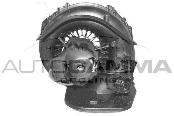Vidaus pūtiklis AUTOGAMMA GA35004