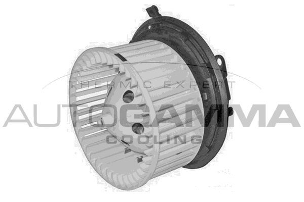 Vidaus pūtiklis AUTOGAMMA GA35005