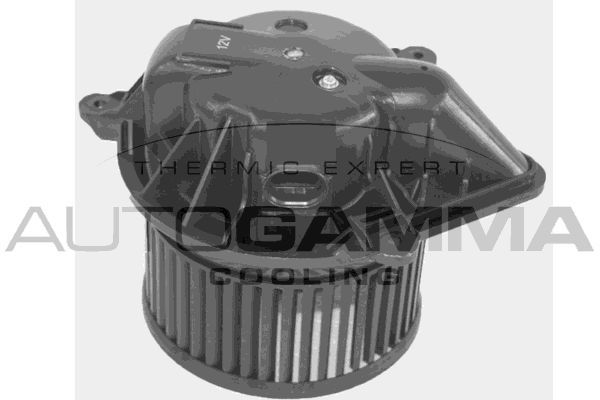 Vidaus pūtiklis AUTOGAMMA GA35010