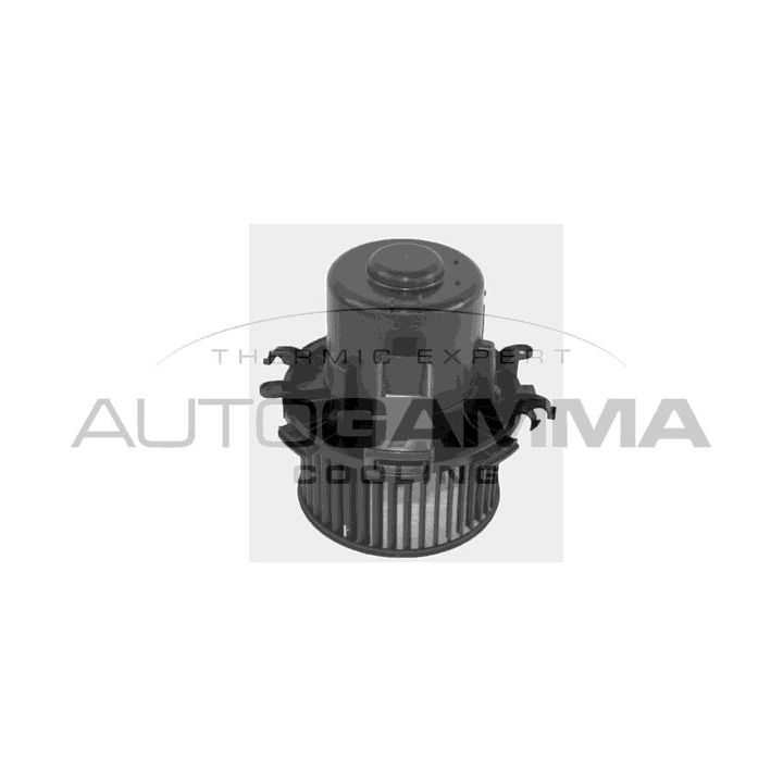 Vidaus pūtiklis AUTOGAMMA GA35011