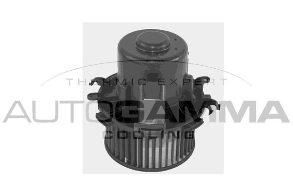 Vidaus pūtiklis AUTOGAMMA GA35011