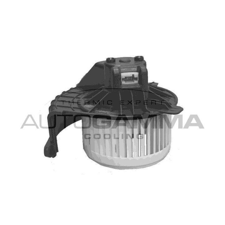 Vidaus pūtiklis AUTOGAMMA GA35014