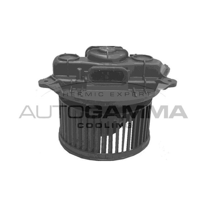 Vidaus pūtiklis AUTOGAMMA GA37007