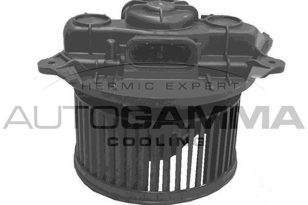 Vidaus pūtiklis AUTOGAMMA GA37007