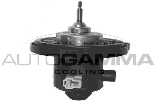 Vidaus pūtiklis AUTOGAMMA GA38001