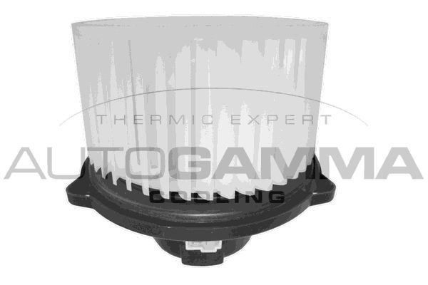 Vidaus pūtiklis AUTOGAMMA GA38002