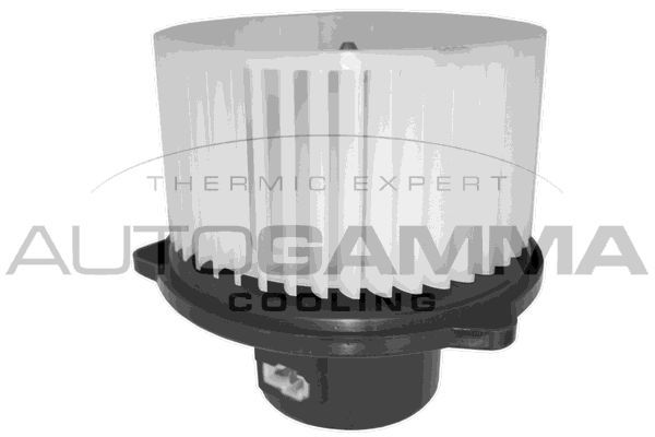 Vidaus pūtiklis AUTOGAMMA GA38003