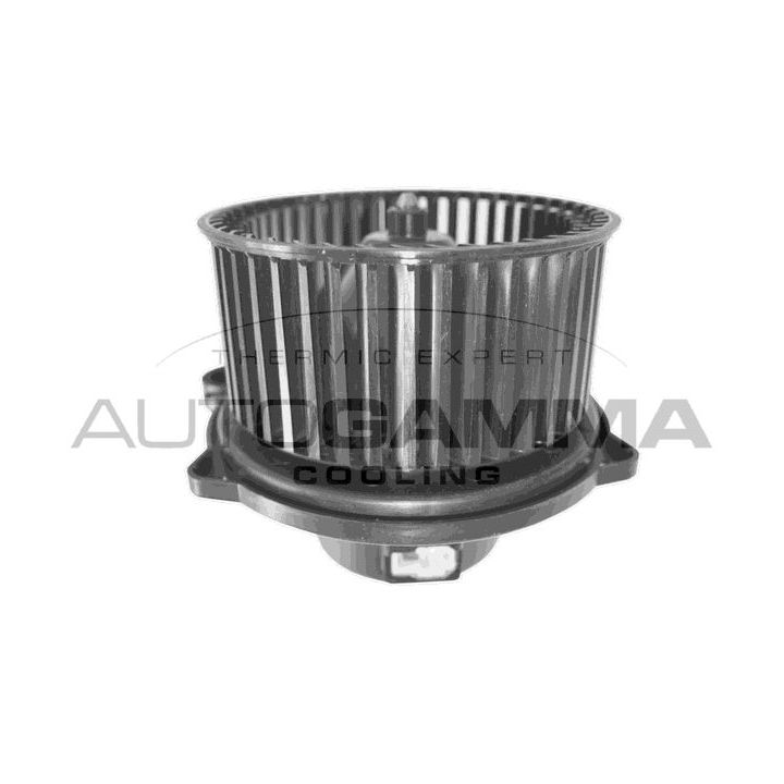 Vidaus pūtiklis AUTOGAMMA GA38007