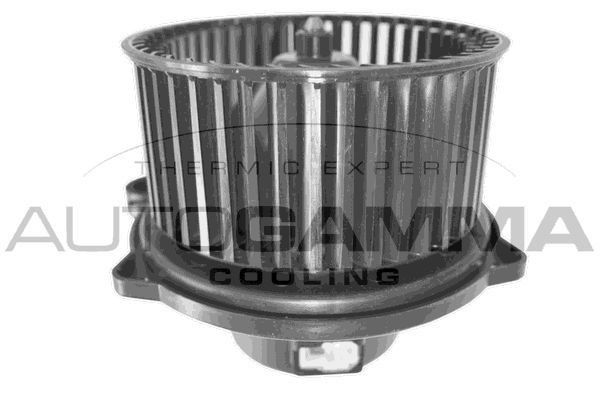 Vidaus pūtiklis AUTOGAMMA GA38007