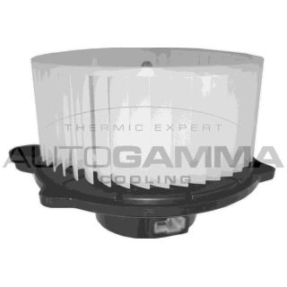 Vidaus pūtiklis AUTOGAMMA GA38012