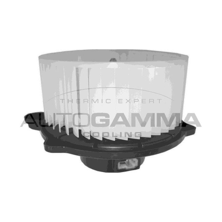 Vidaus pūtiklis AUTOGAMMA GA38012