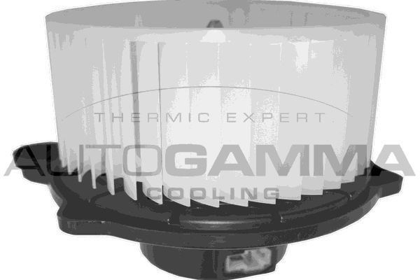 Vidaus pūtiklis AUTOGAMMA GA38012