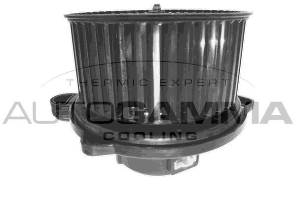 Vidaus pūtiklis AUTOGAMMA GA38200