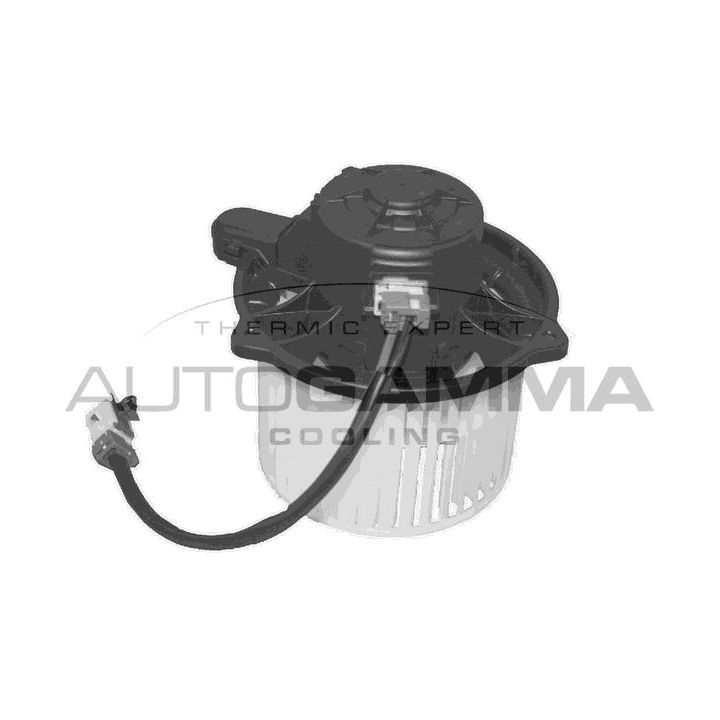 Vidaus pūtiklis AUTOGAMMA GA38201