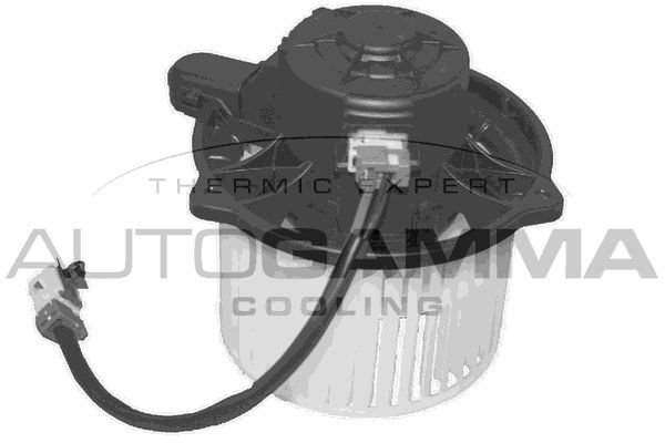 Vidaus pūtiklis AUTOGAMMA GA38201