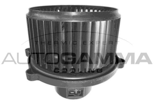 Vidaus pūtiklis AUTOGAMMA GA38203