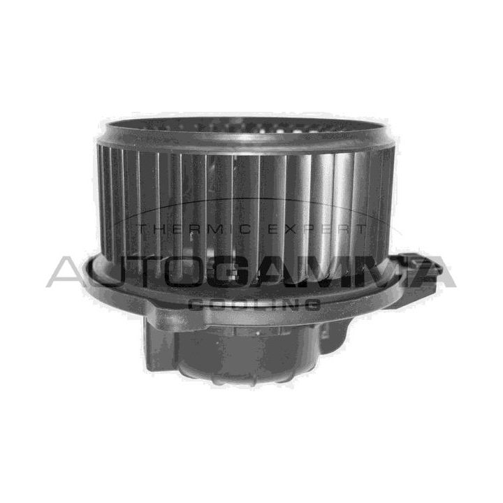 Vidaus pūtiklis AUTOGAMMA GA38204