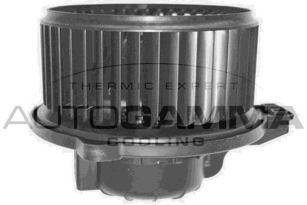 Vidaus pūtiklis AUTOGAMMA GA38204