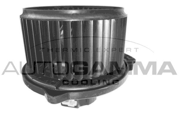 Vidaus pūtiklis AUTOGAMMA GA38206