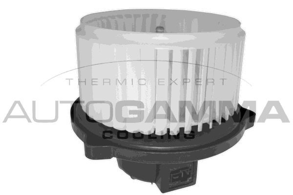 Vidaus pūtiklis AUTOGAMMA GA38207