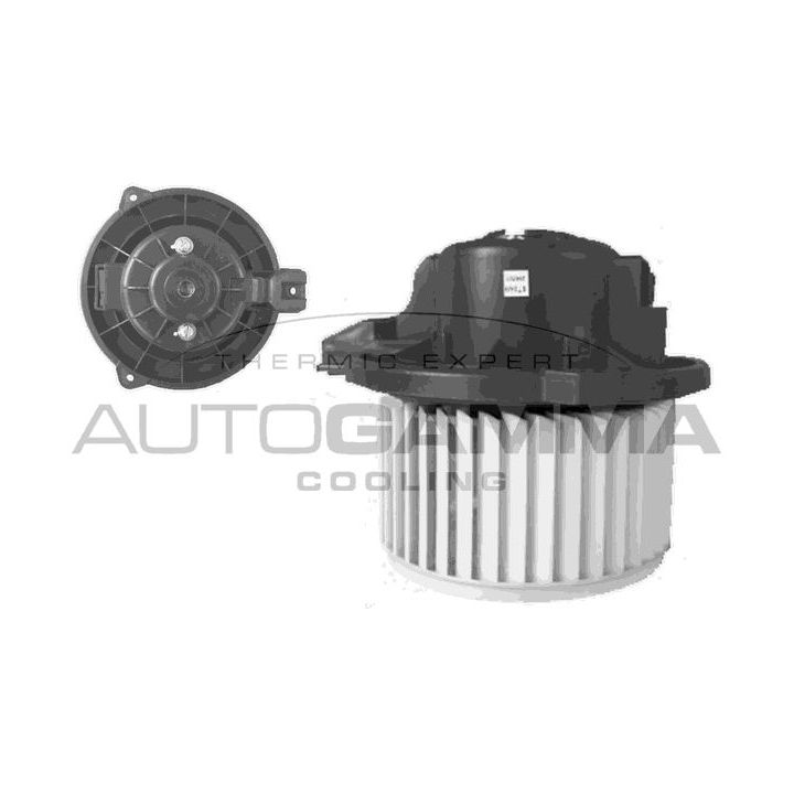 Vidaus pūtiklis AUTOGAMMA GA38210