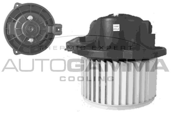 Vidaus pūtiklis AUTOGAMMA GA38210