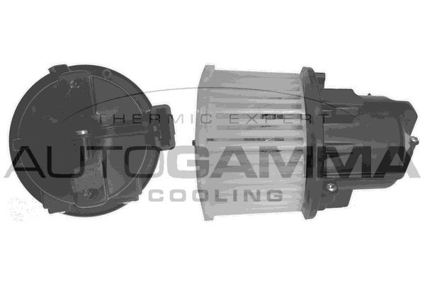 Vidaus pūtiklis AUTOGAMMA GA38801