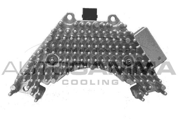 Varža, vidaus pūtiklis AUTOGAMMA GA15252