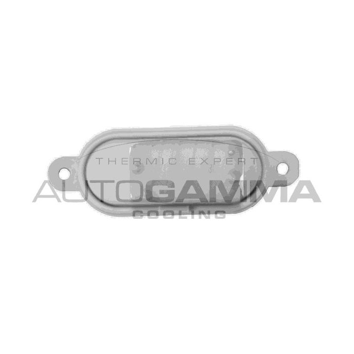 Varža, vidaus pūtiklis AUTOGAMMA GA15304