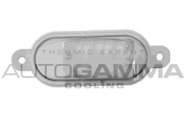 Varža, vidaus pūtiklis AUTOGAMMA GA15304