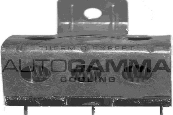 Varža, vidaus pūtiklis AUTOGAMMA GA15510